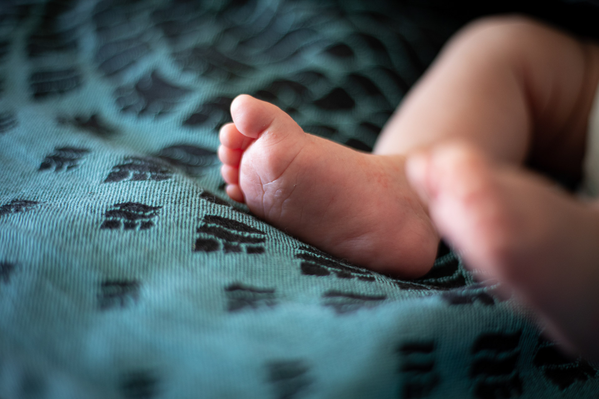 dekka-petal-metod produkt/dekka-petal-metod/x-dekka_petal_metod_03.jpg